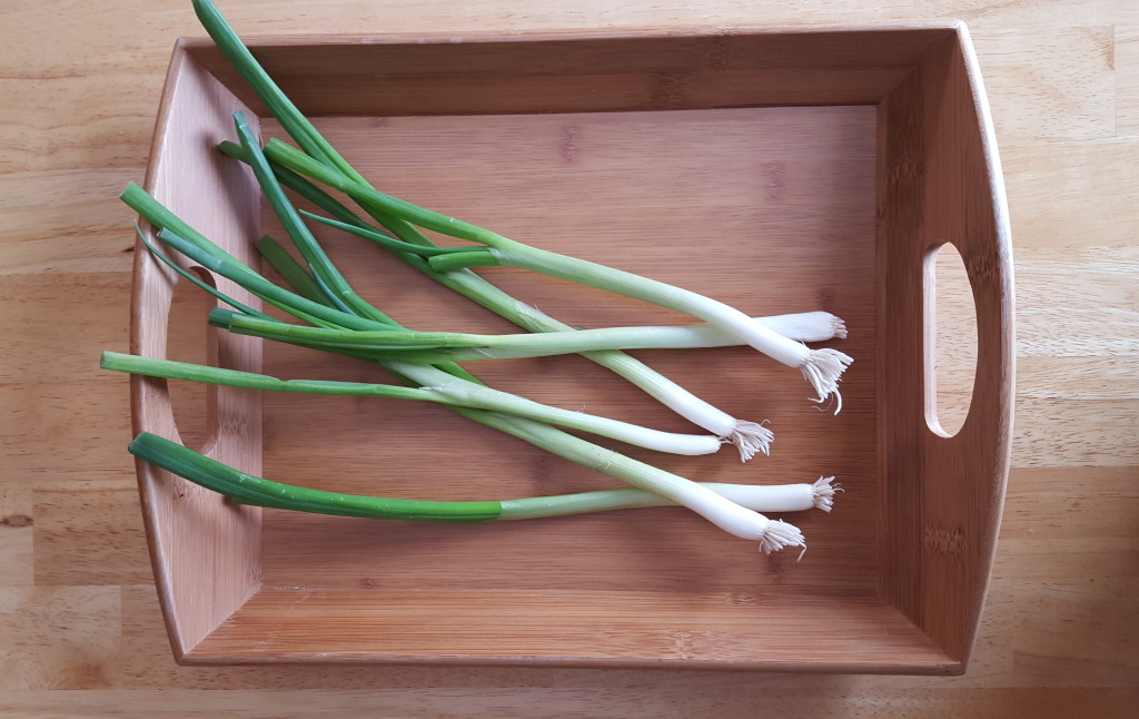 Www Bd Schoolsexvideo Com - How to Regrow Green Onions - The Root Family Review